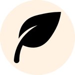 3 Extreme Sports Jet Skiing